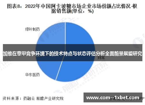 加维在意甲竞争环境下的技术特点与状态评估分析全面前景展望研究